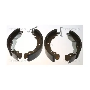 8100 29549 TRISCAN