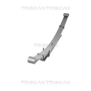 8765 13025 TRISCAN