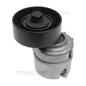 TRISCAN 8641 163001