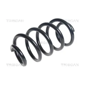 875025112 TRISCAN