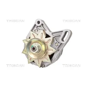 TRISCAN 8310 10011