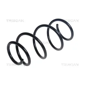 8750 24213 TRISCAN