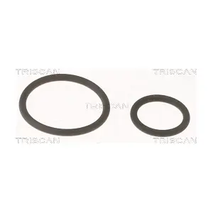 596-1001 TRISCAN