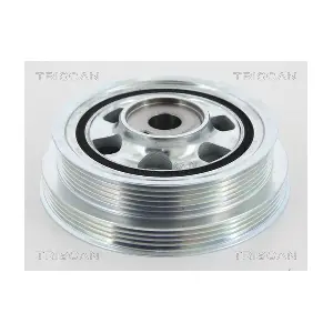 TRISCAN 8643 10012