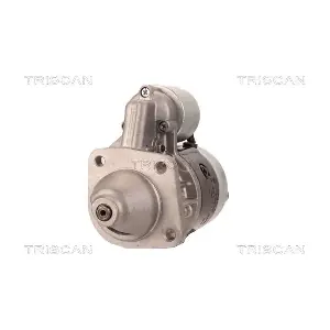 TRISCAN 8305 10046