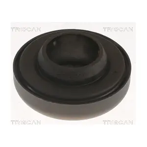 850010960 TRISCAN