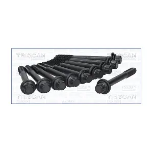 98-4207 TRISCAN