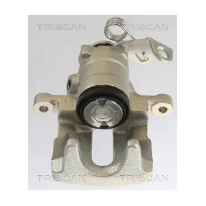 TRISCAN 8175 10202