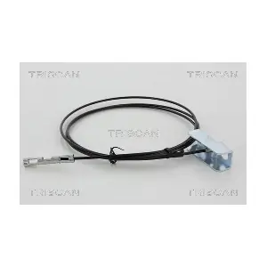 12901 TRISCAN