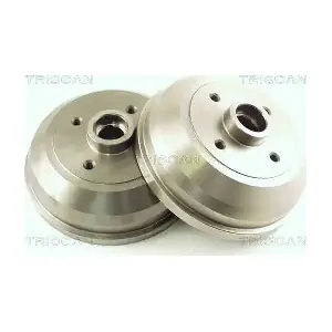 TRISCAN 812024208
