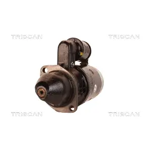 8305 10087 TRISCAN