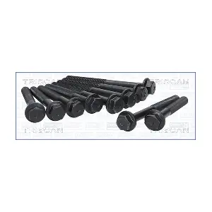TRISCAN 98-2501