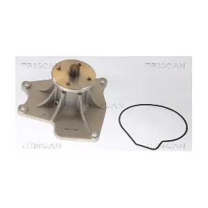 860042024 TRISCAN