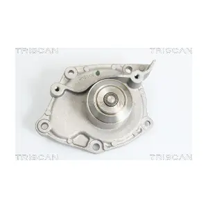 8600 10025 TRISCAN