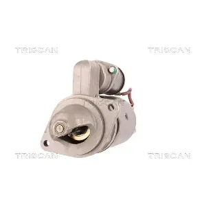 8305 29052 TRISCAN