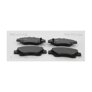 TRISCAN 811040067
