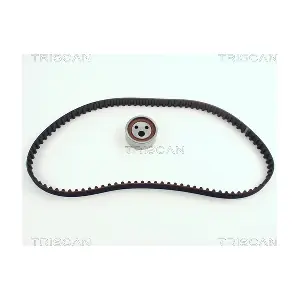 TRISCAN 8647 25001