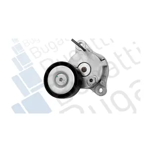 335590 METELLI