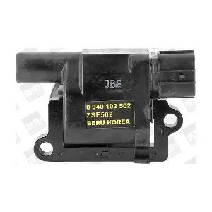 BorgWarner (BERU) ZSE502