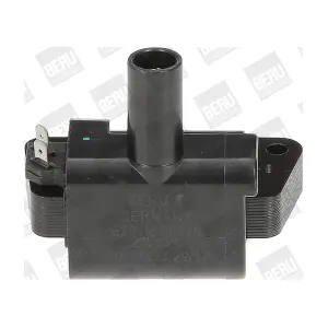ZS326 BorgWarner (BERU)
