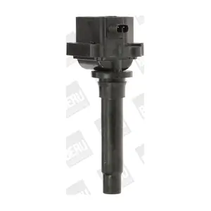 ZS436 BorgWarner (BERU)