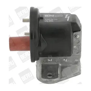 ZS 296 BorgWarner (BERU)