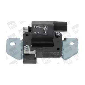 BorgWarner (BERU) ZS540