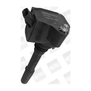 ZS538 BorgWarner (BERU)