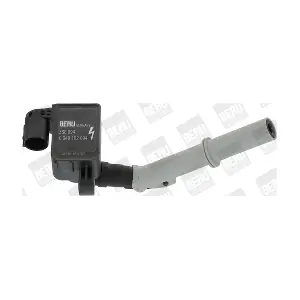 BorgWarner (BERU) ZSE094