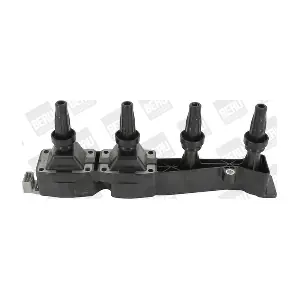 BorgWarner (BERU) ZSE045