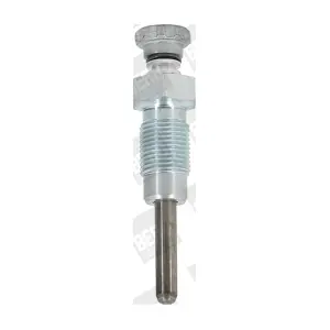 GV 119 BorgWarner (BERU)