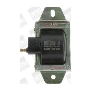BorgWarner (BERU) ZS257
