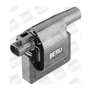BorgWarner (BERU) ZS277