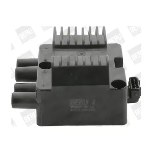 BorgWarner (BERU) ZSE026