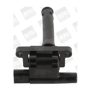 BorgWarner (BERU) ZS501