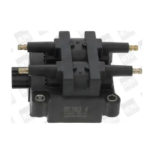 BorgWarner (BERU) ZSE191