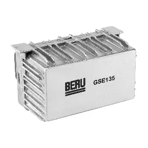 GSE135 BorgWarner (BERU)