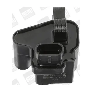 BorgWarner (BERU) ZSE177