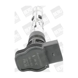 ZSE 062 BorgWarner (BERU)