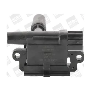 ZSE136 BorgWarner (BERU)