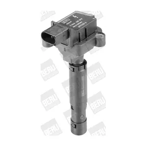 BorgWarner (BERU) ZS077