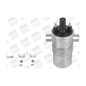 BorgWarner (BERU) ZS563