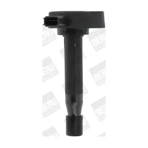 BorgWarner (BERU) ZSE166
