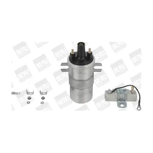 BorgWarner (BERU) ZS567