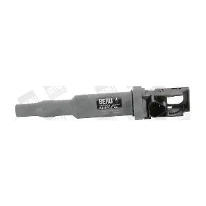 BorgWarner (BERU) ZSE144