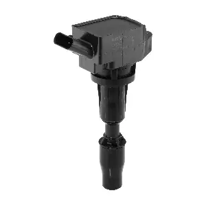 ZSE300 BorgWarner (BERU)