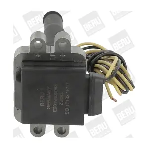 ZS043 BorgWarner (BERU)