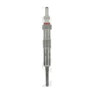 BorgWarner (BERU) GE110