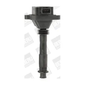 ZS310 BorgWarner (BERU)