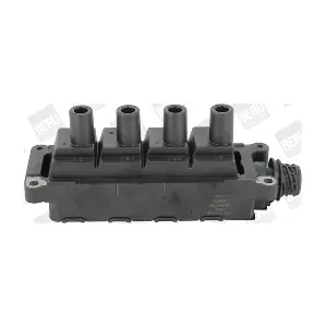 ZS307 BorgWarner (BERU)